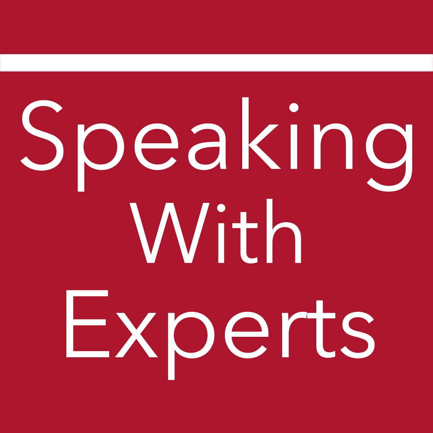 Speaking with Experts podcast logo